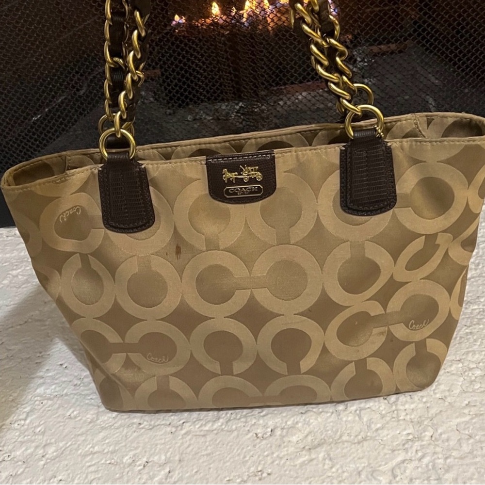 Y2K Style Coach Bag